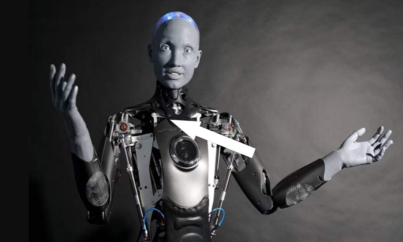 Робот-крыса с ИИ: новый этап общения с грызунами