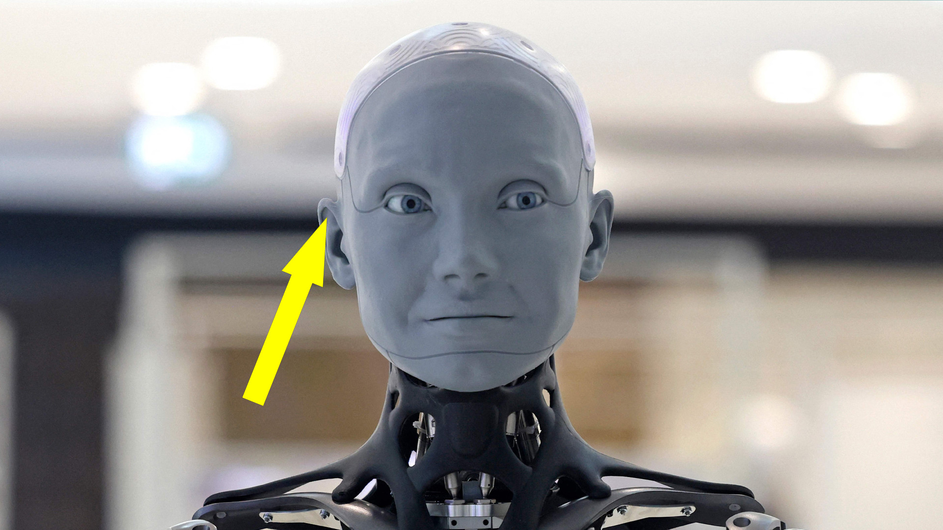 Китайская Agibot опередила Tesla в производстве человекоподобных роботов