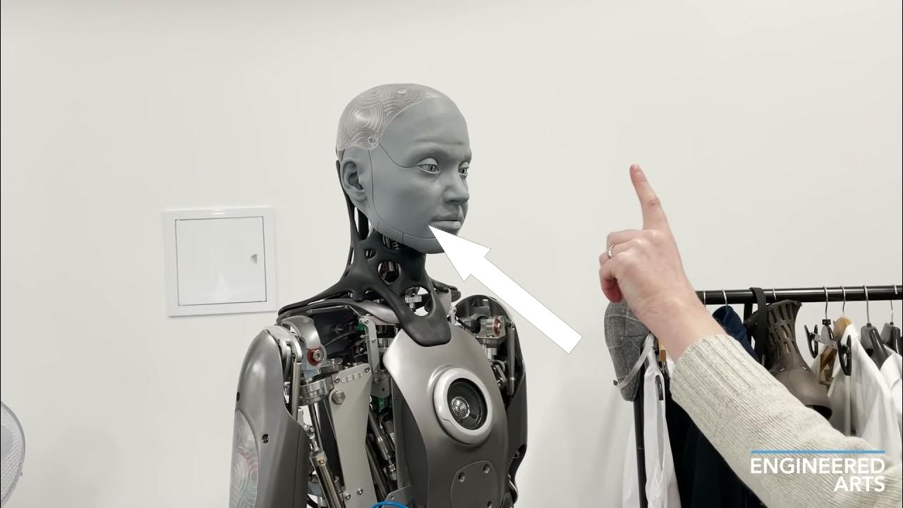 Лучшие гуманоиды 2024-2025