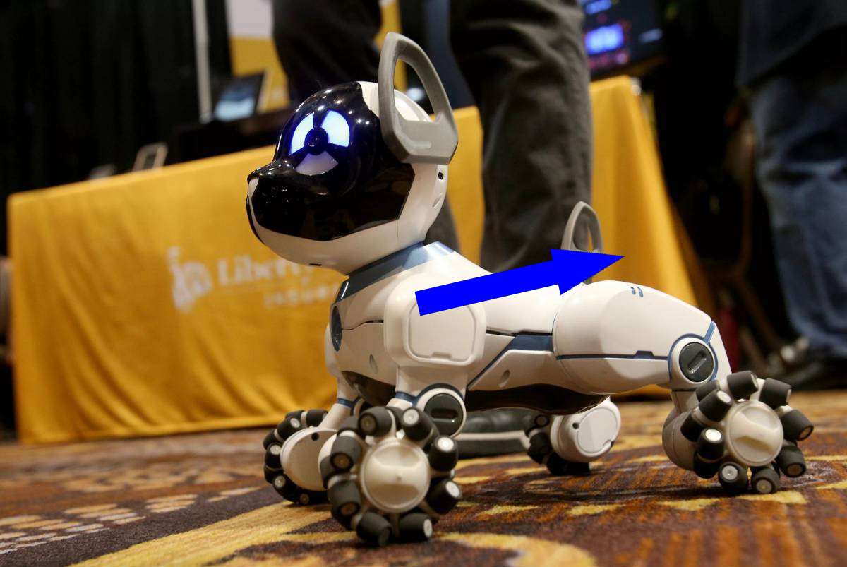 Роботы-собаки на службе безопасности заводов в России