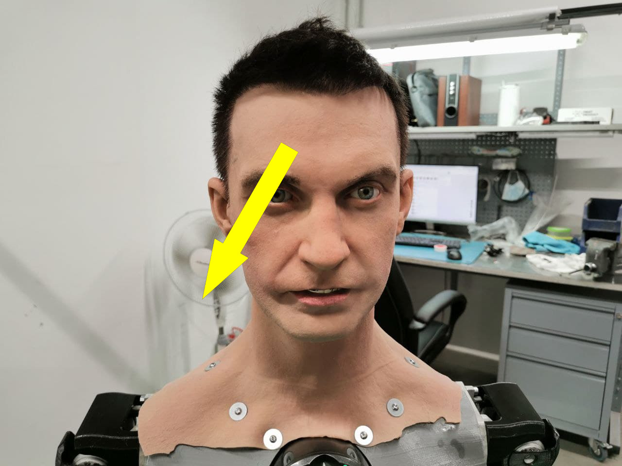 Человекоподобный робот проведет сольный концерт в Перми