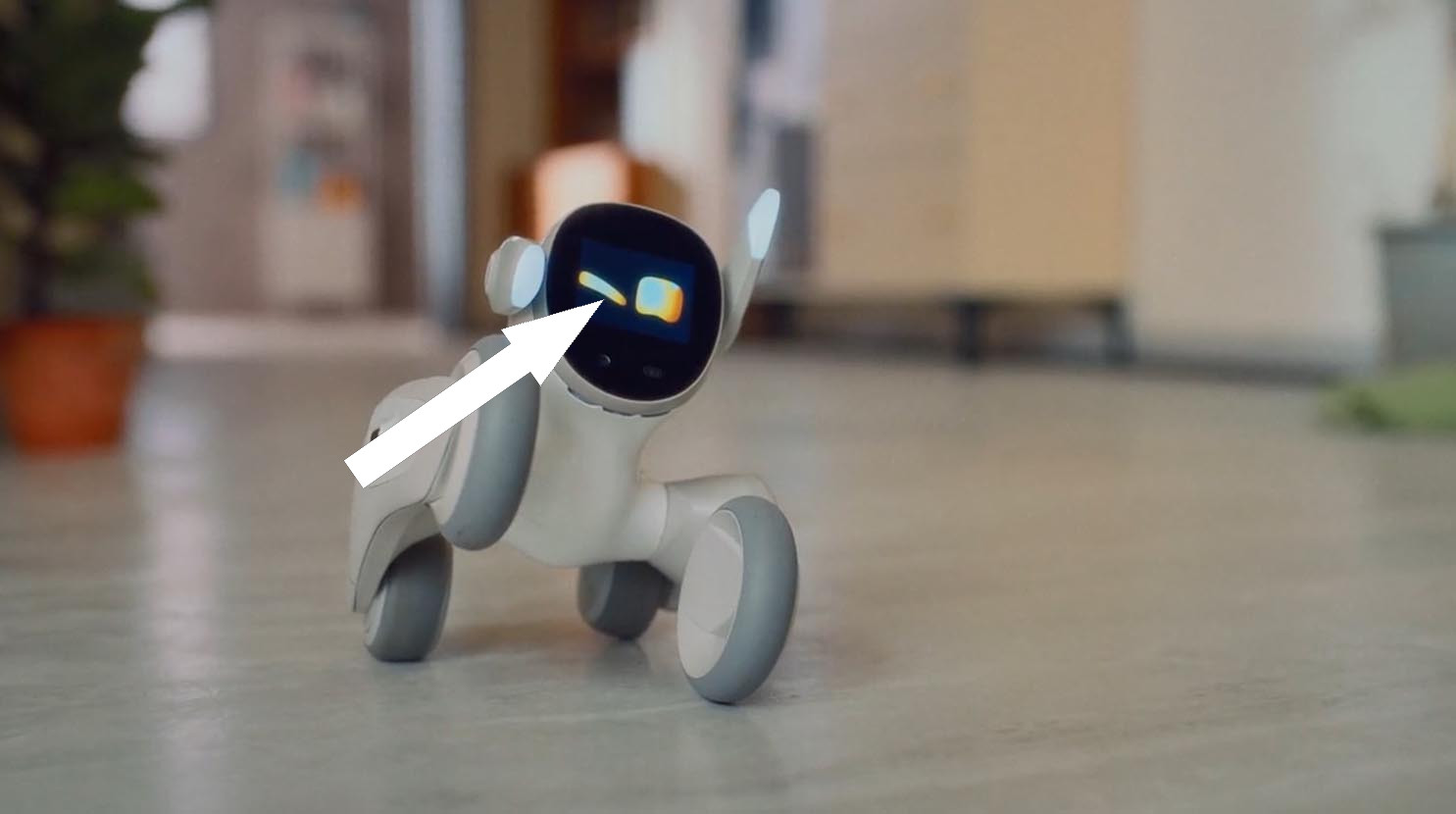 Роботы для детей и подарки от папы