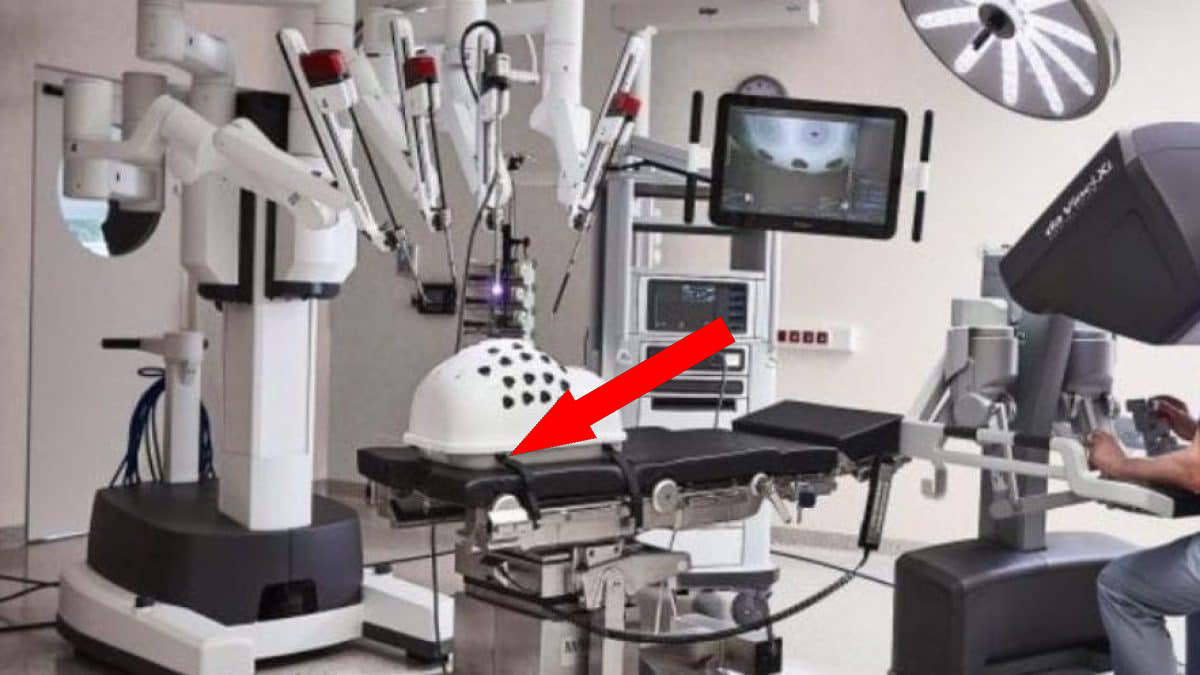 Человекообразные роботы производятся стартапом Agibot